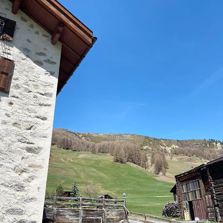 Mountain Chalet Milly ليفينو المظهر الخارجي الصورة