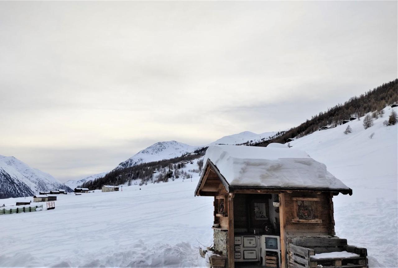 Mountain Chalet Milly ليفينو المظهر الخارجي الصورة