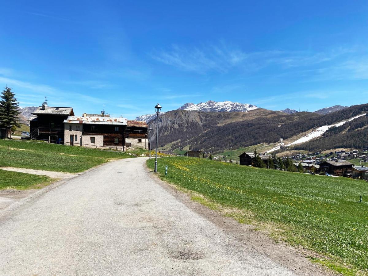 Mountain Chalet Milly ليفينو المظهر الخارجي الصورة