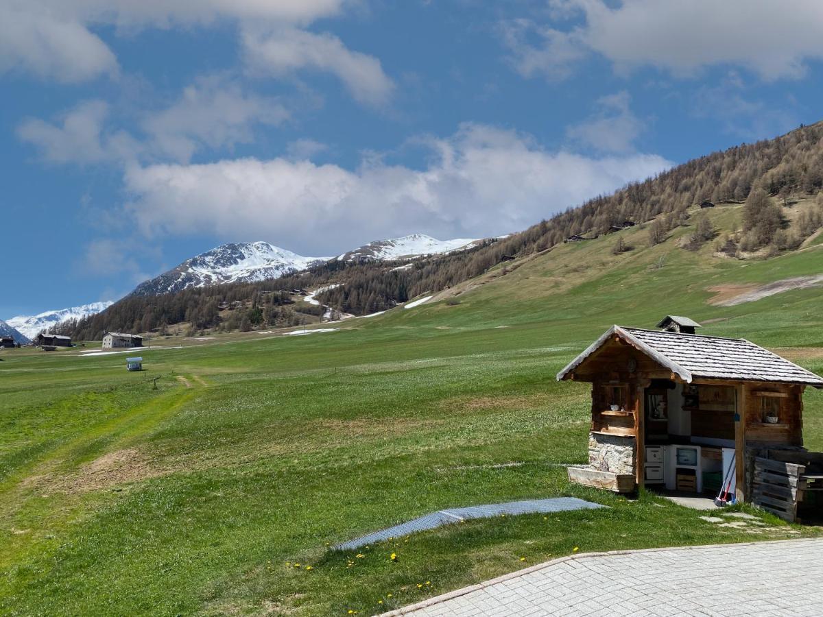 Mountain Chalet Milly ليفينو المظهر الخارجي الصورة