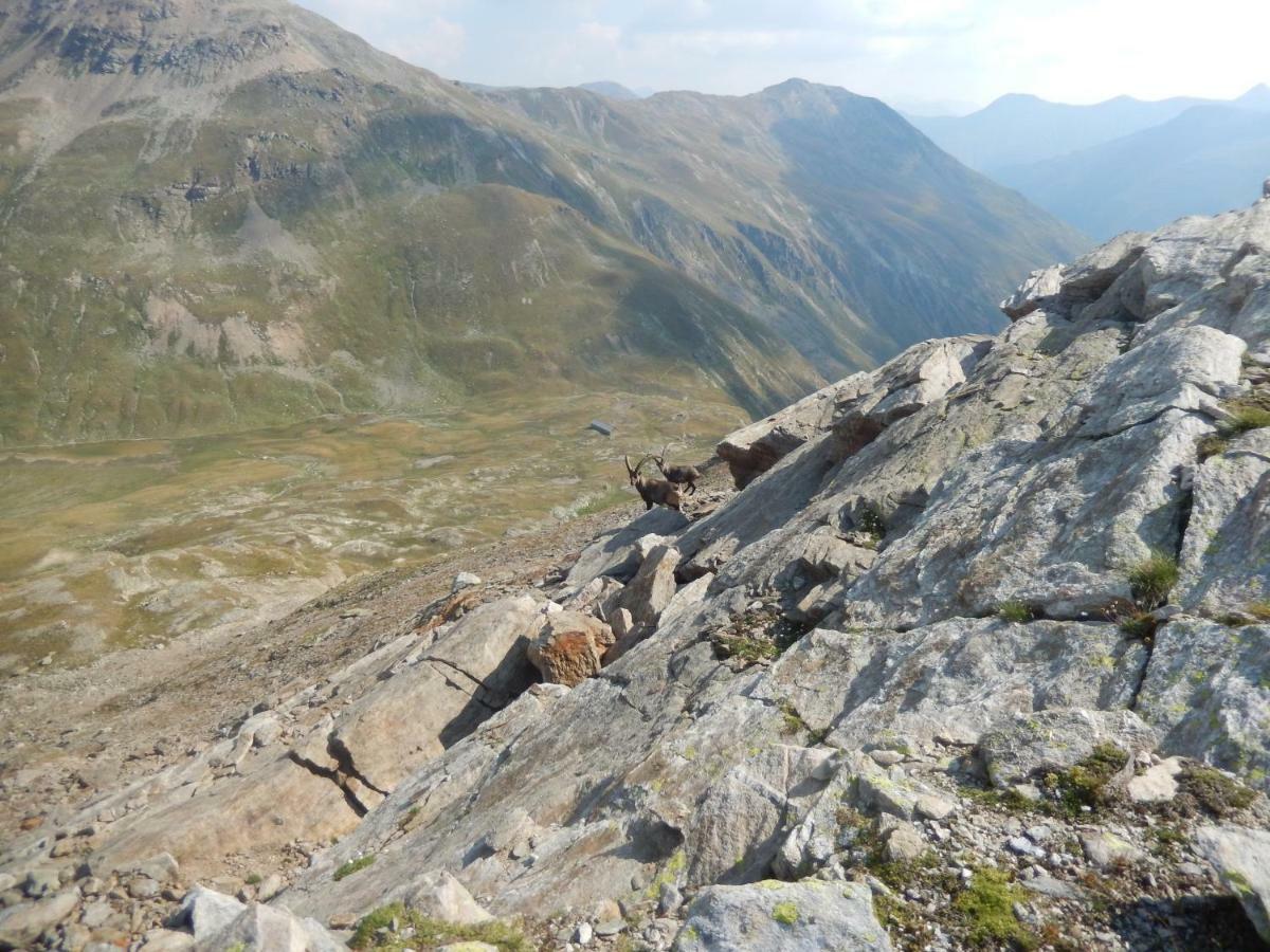 Mountain Chalet Milly ليفينو المظهر الخارجي الصورة