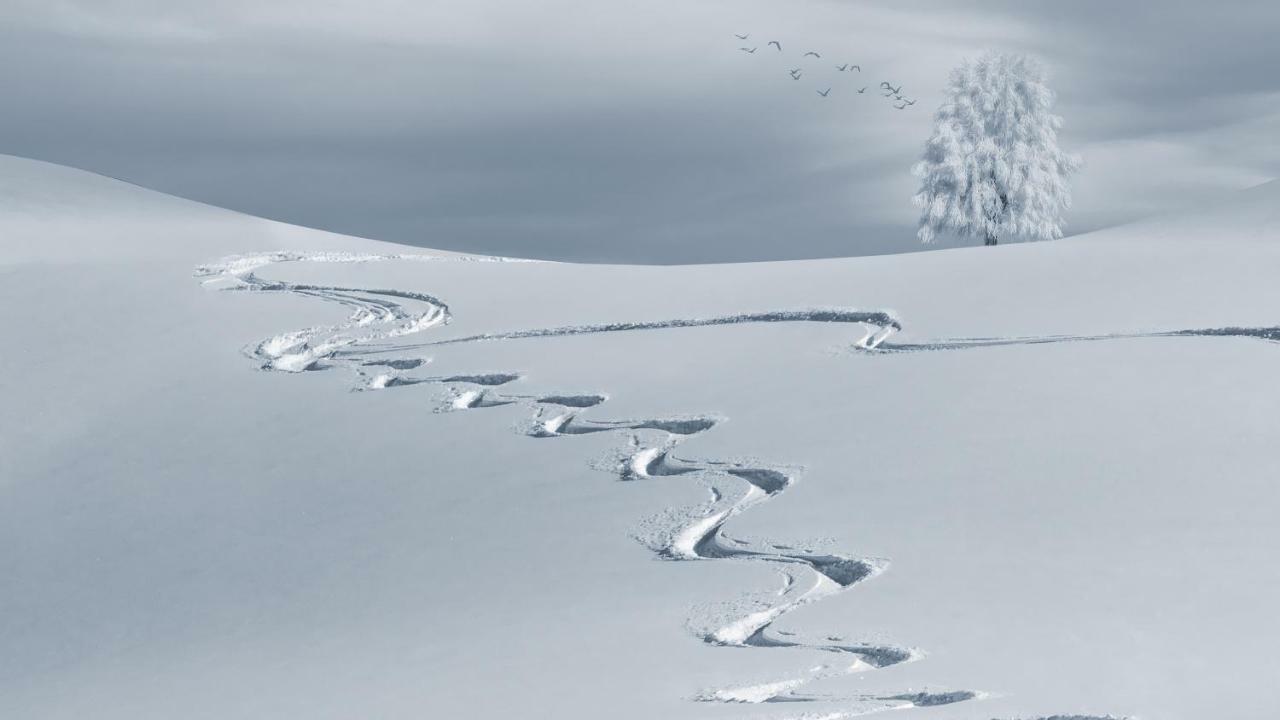 Mountain Chalet Milly ليفينو المظهر الخارجي الصورة
